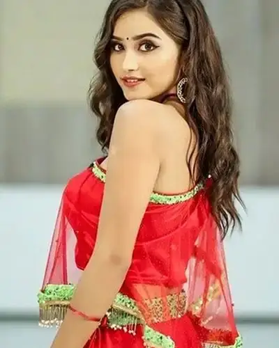 Call Girls Service Becharaji